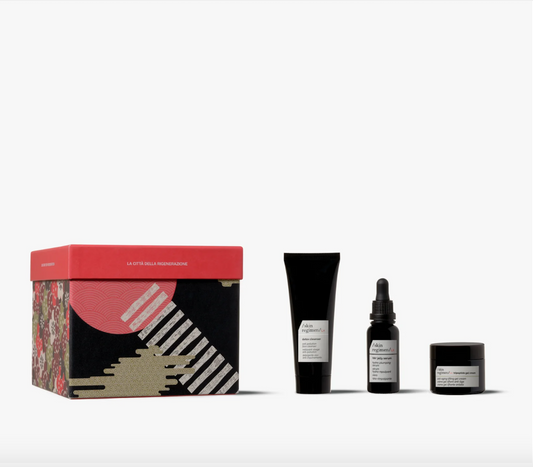 The Regeneration City